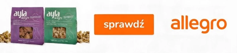 banner ayla allegro