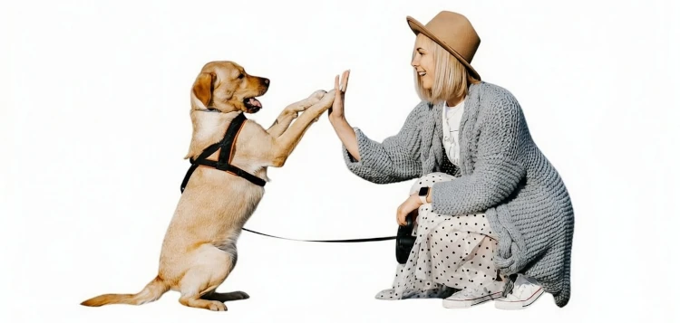 pies i opiekun po udanym treningu – liofilizowany przysmak jako nagroda